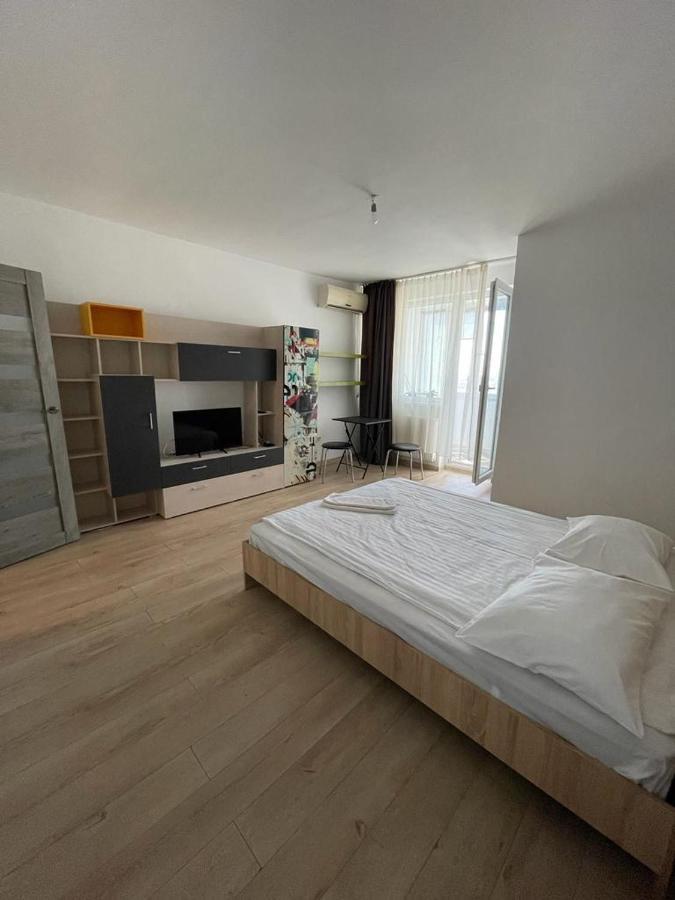 טימישוארה Bega Cirumvalatiunii One Room Apartment- 4 מראה חיצוני תמונה