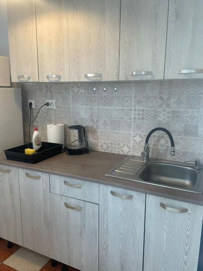 טימישוארה Bega Cirumvalatiunii One Room Apartment- 4 מראה חיצוני תמונה
